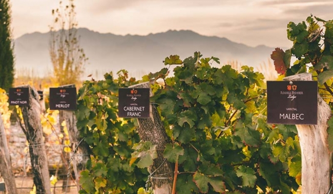 Bodegas Boutique en Mendoza