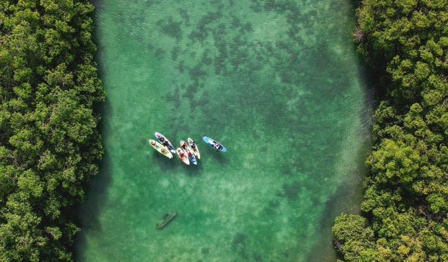 Playa del Carmen + Canc�n 